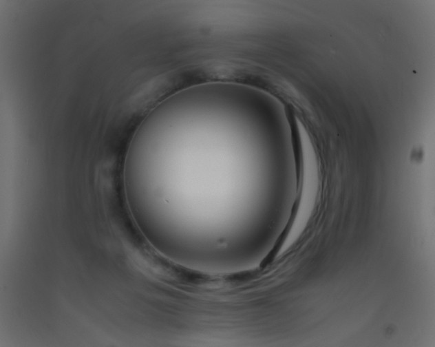 X0000093100217200710101545