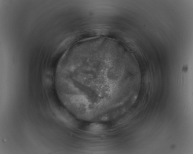 X0000093100218200710101545