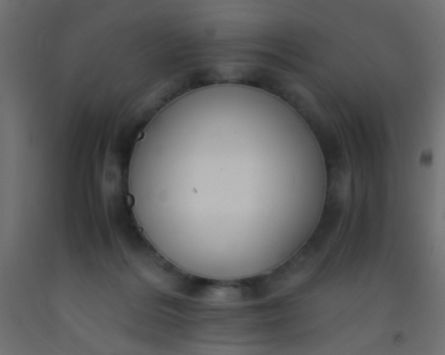 X0000093100220200710101545