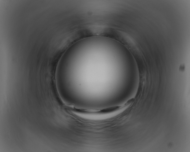 X0000093100221200710101545
