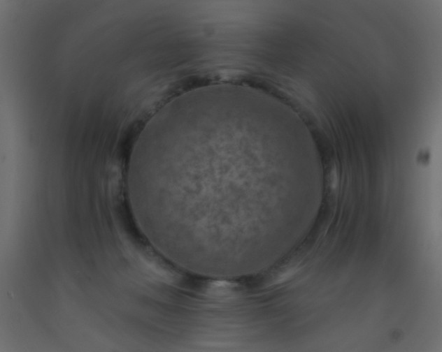 X0000093100222200710101545