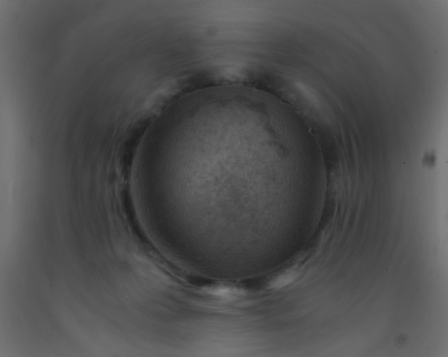 X0000093100223200710101545