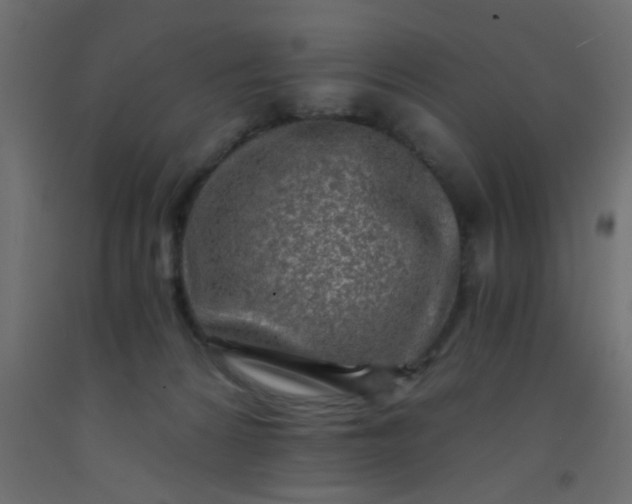 X0000093100224200710101545