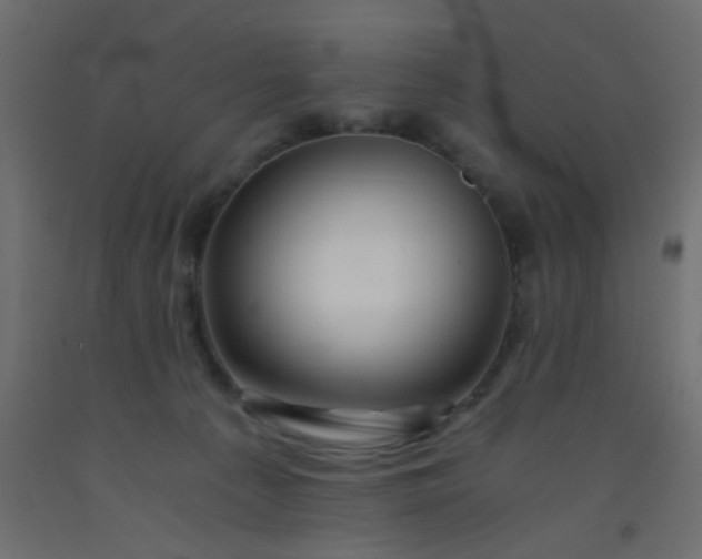 X0000093100225200710101545