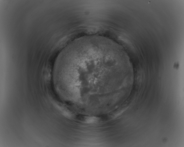 X0000093100226200710101544