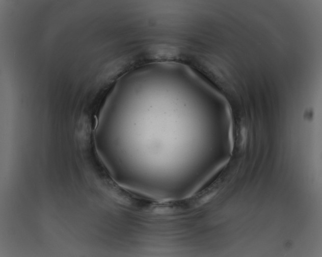 X0000093100228200710101544