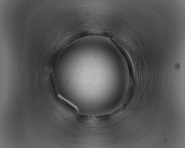 X0000093100229200710101544