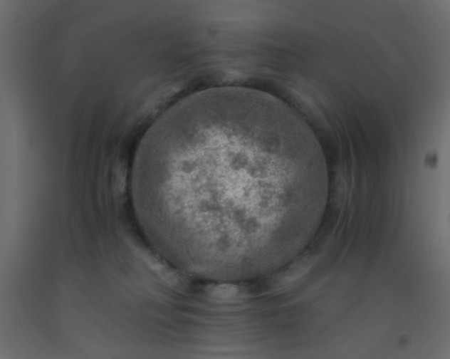 X0000093100230200710101544
