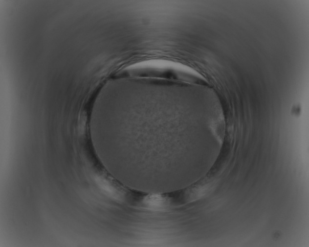 X0000093100231200710101544