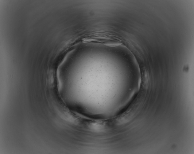 X0000093100232200710101544