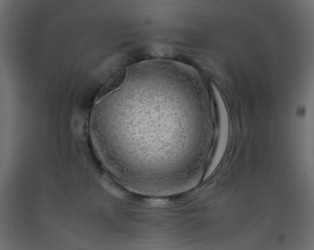 X0000093100233200710101544
