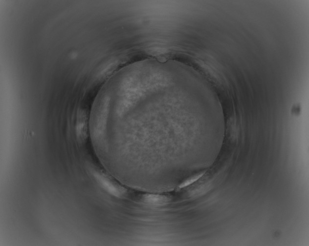 X0000093100234200710101544