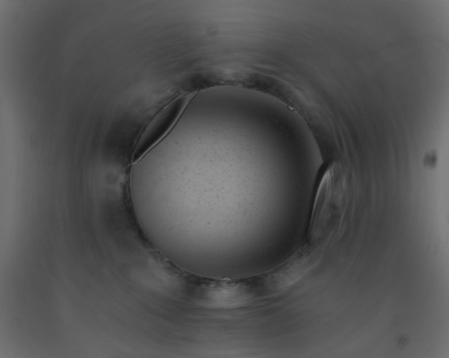 X0000093100235200710101544