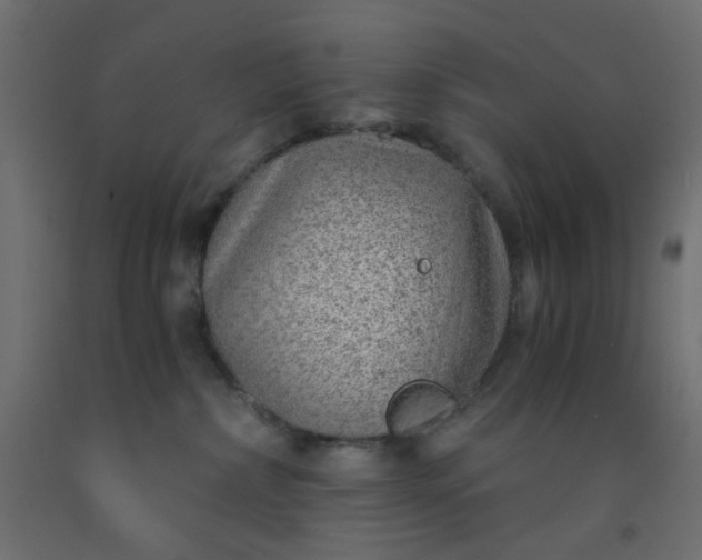 X0000093100236200710101544