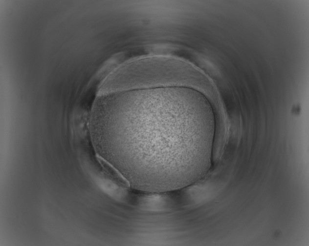X0000093100237200710101544