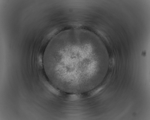 X0000093100238200710101544