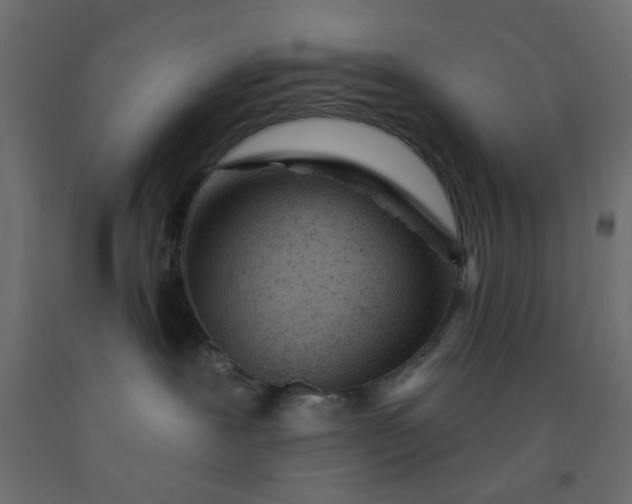X0000093100239200710101544