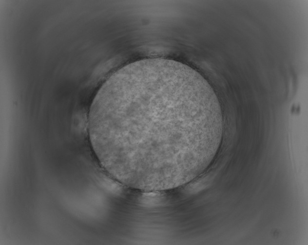 X0000093100240200710101544