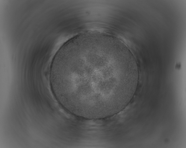X0000093100241200710101544