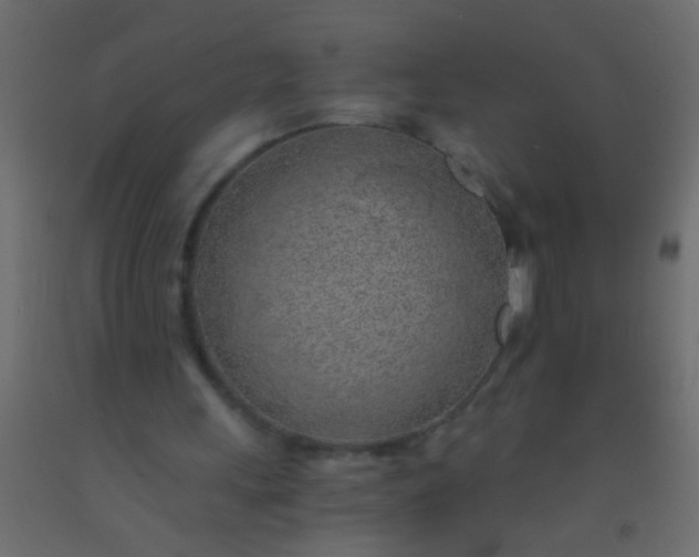 X0000093100243200710101544