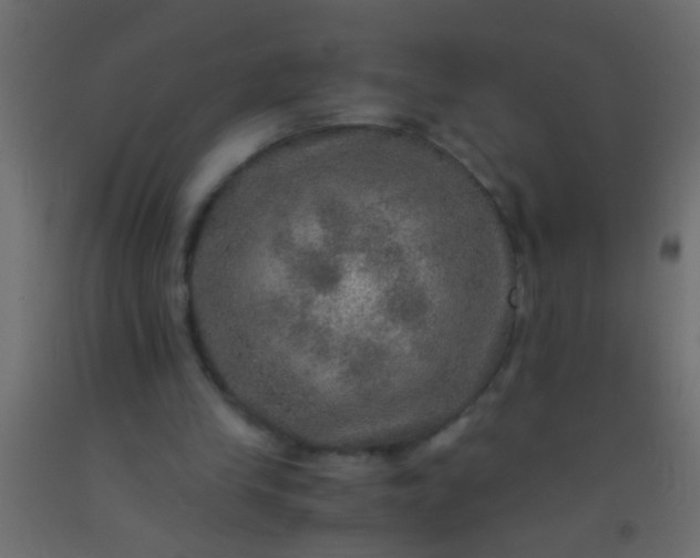 X0000093100245200710101544