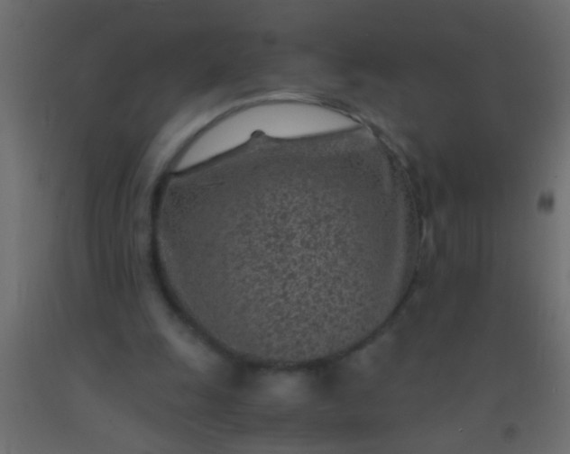 X0000093100247200710101544