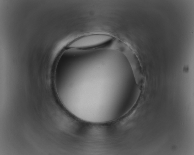 X0000093100248200710101544