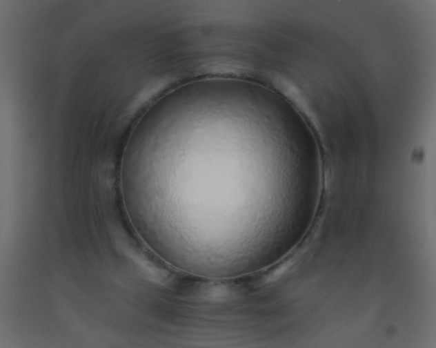 X0000093100249200710101544