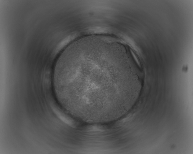 X0000093100250200710101544