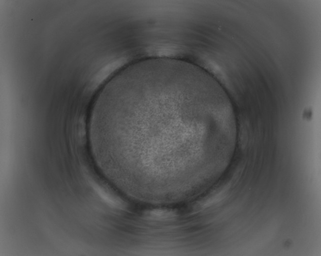 X0000093100251200710101544