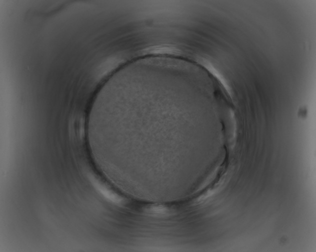 X0000093100253200710101544