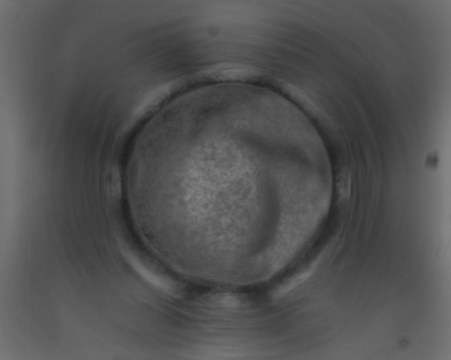 X0000093100254200710101544