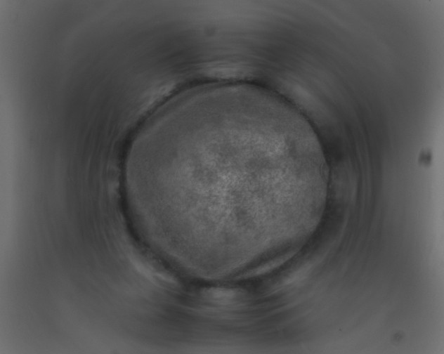 X0000093100255200710101544