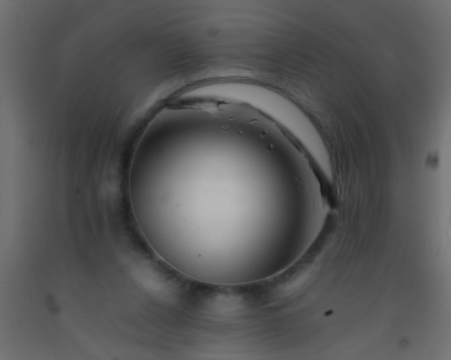 X0000093100256200710101544
