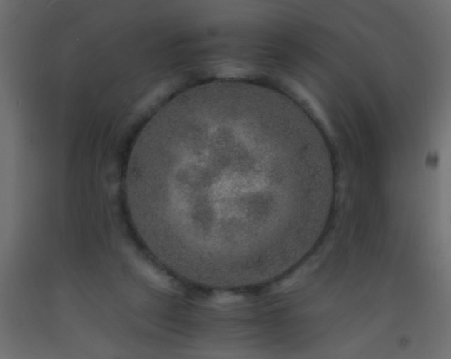 X0000093100257200710101544