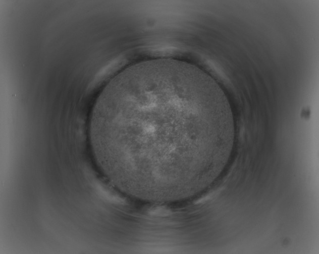 X0000093100258200710101544