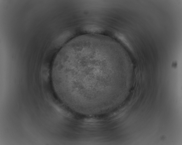 X0000093100259200710101544