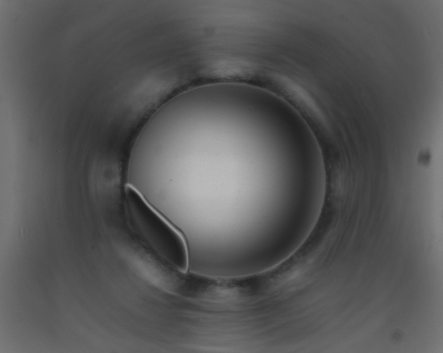 X0000093100260200710101544