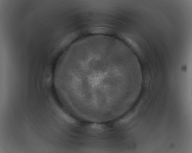 X0000093100261200710101544