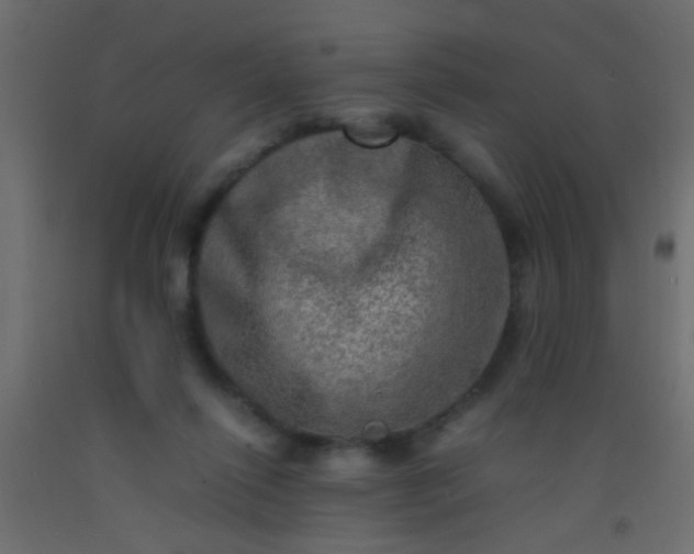 X0000093100262200710101544