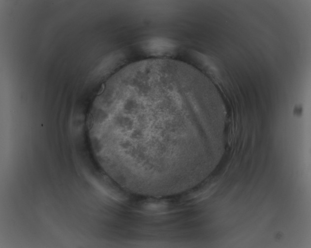 X0000093100263200710101544