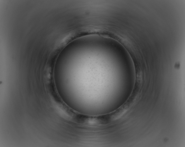 X0000093100264200710101544