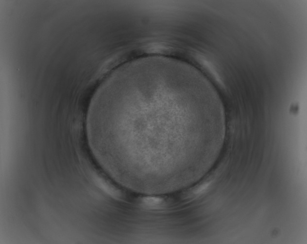 X0000093100265200710101544