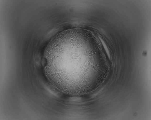 X0000093100266200710101544
