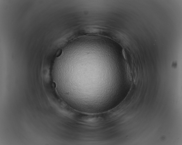 X0000093100267200710101544