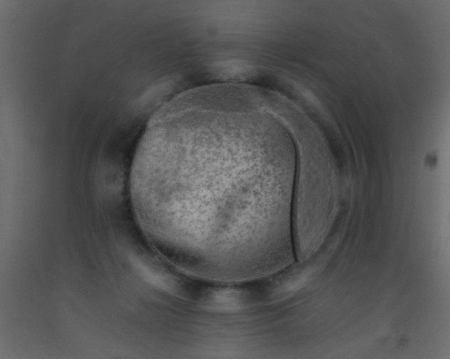 X0000093100268200710101544