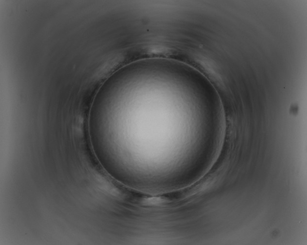 X0000093100269200710101544