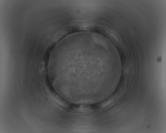 X0000093100270200710101544