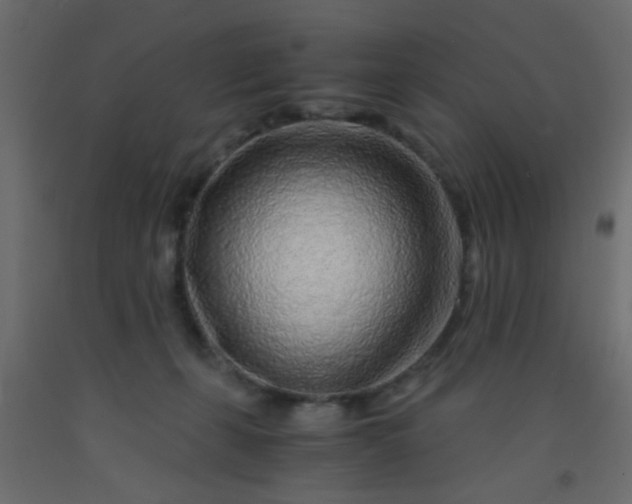 X0000093100271200710101544