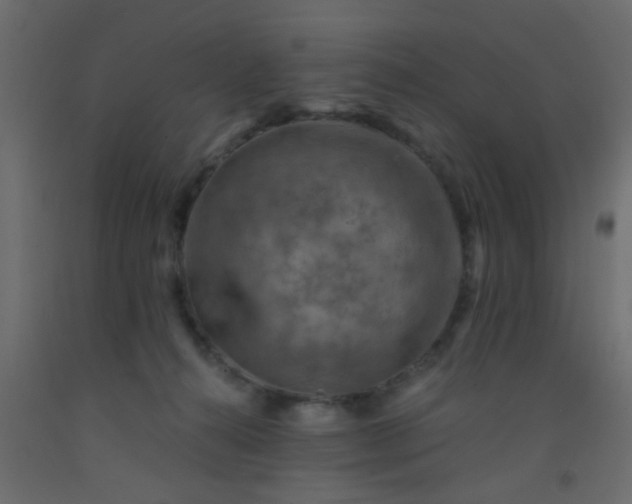 X0000093100272200710101544